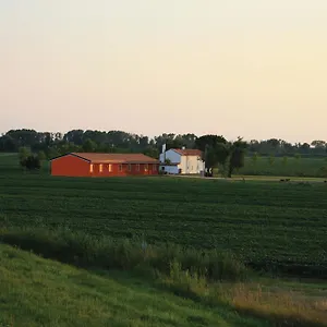 Agriturismo Ca' Pisani Bauernhof